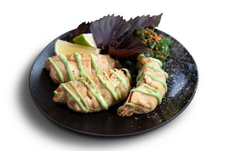 Tonijn gyoza diepvries