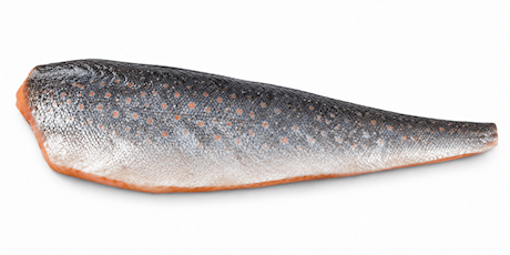 Arctic Char filet met vel