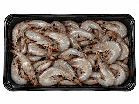 Gamba rauw