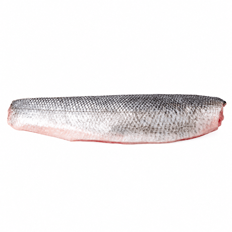 Zeebaarsfilet Turkije