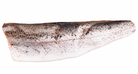 Zalmforel filet met vel